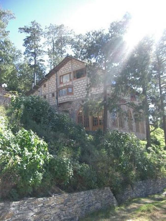 Cabanas 5 Pinos Пинал де Амолес Екстериор снимка